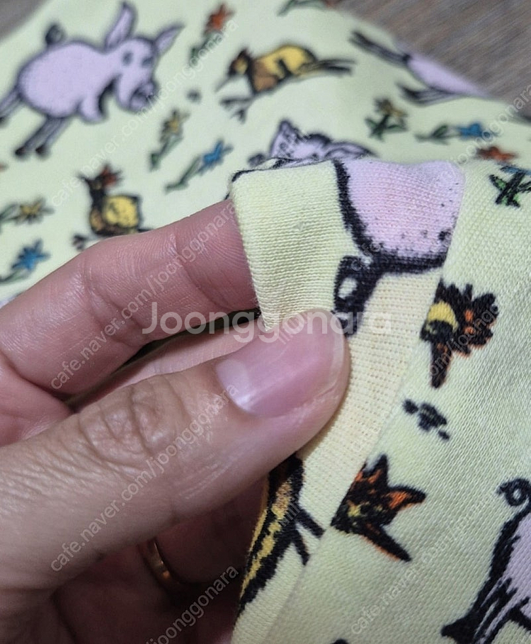 던스 돼지 덩가리 68--1