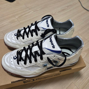 데스포르치 테사라이트 프로 255 판매합니다.