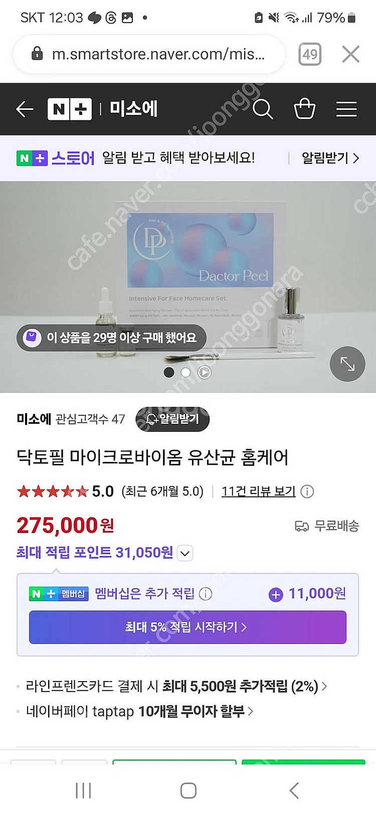 닥토필 마이크로 바이옴--0