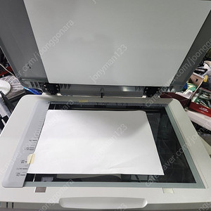 EPSON A3 스캐너 GT20000 새상품