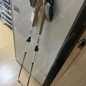 레키 leki 노르딕워킹 래키 등산 다목적 최고급형 샤크 카본스틱