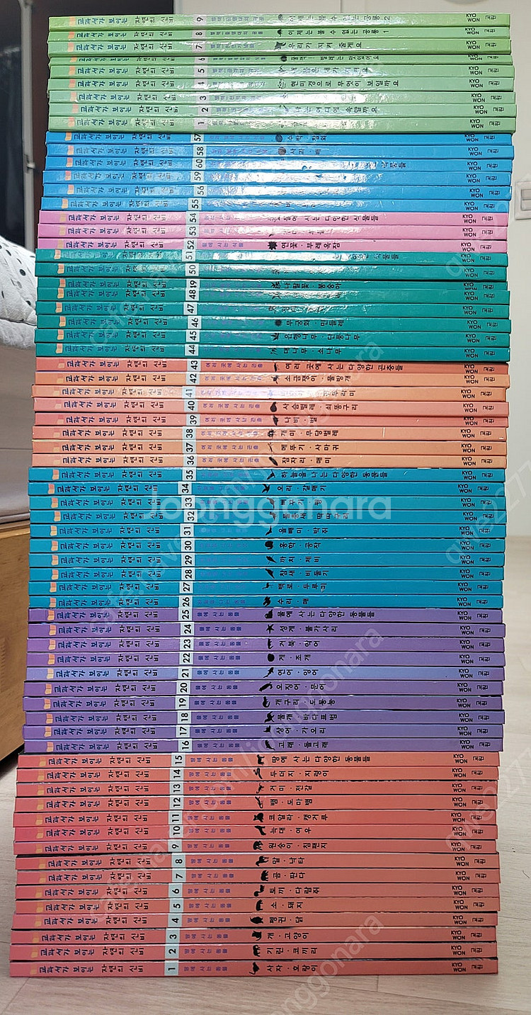 교원 교과서가 보이는 자연의 신비--0