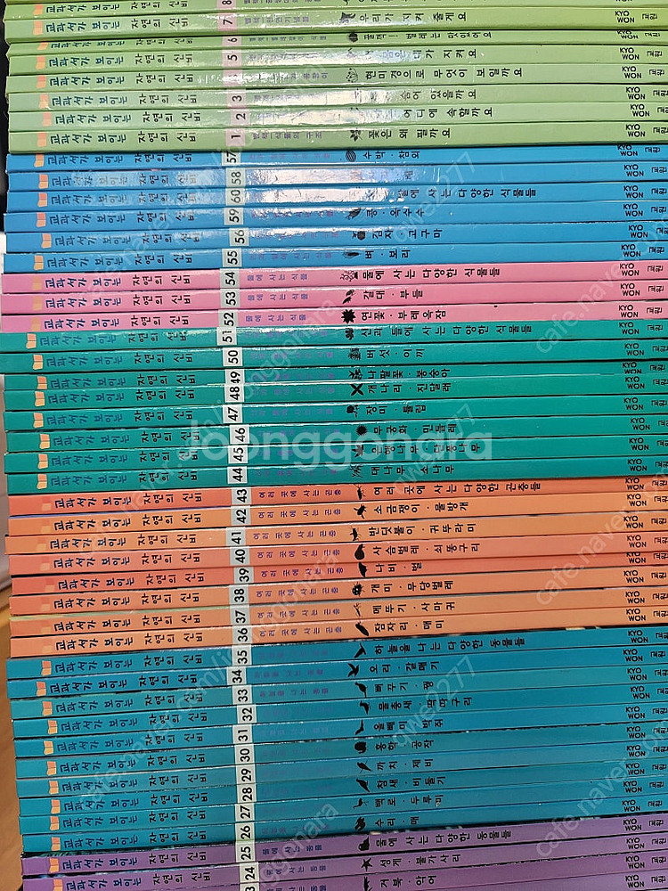 교원 교과서가 보이는 자연의 신비--1