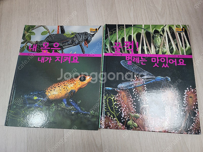 교원 교과서가 보이는 자연의 신비--3