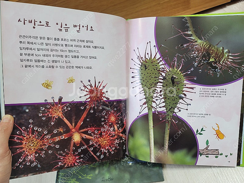 교원 교과서가 보이는 자연의 신비--4