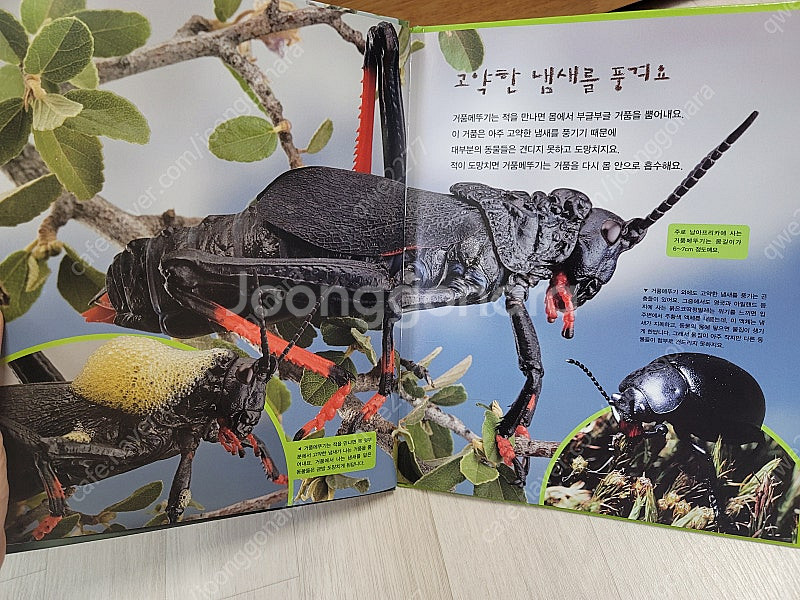 교원 교과서가 보이는 자연의 신비--6