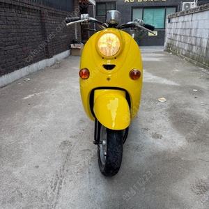 비노50