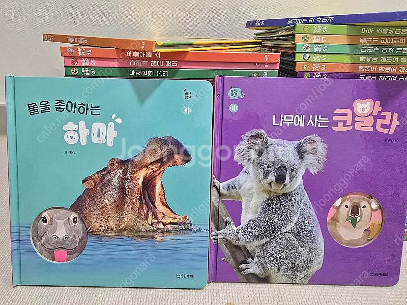 *유아자연관찰* 웅진 땅친구 물친구 - 최신판, 완벽구...--6