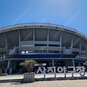 8월16일 롯데 삼성 중앙탁자석 2연석 삽니다