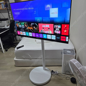 LG 48cx OLED 48인치tv+나무궁 이동식 거치대(경북 봉화/영주/안동 직거래)