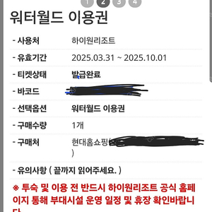 하이원워터파크 4인+구명조끼할인권