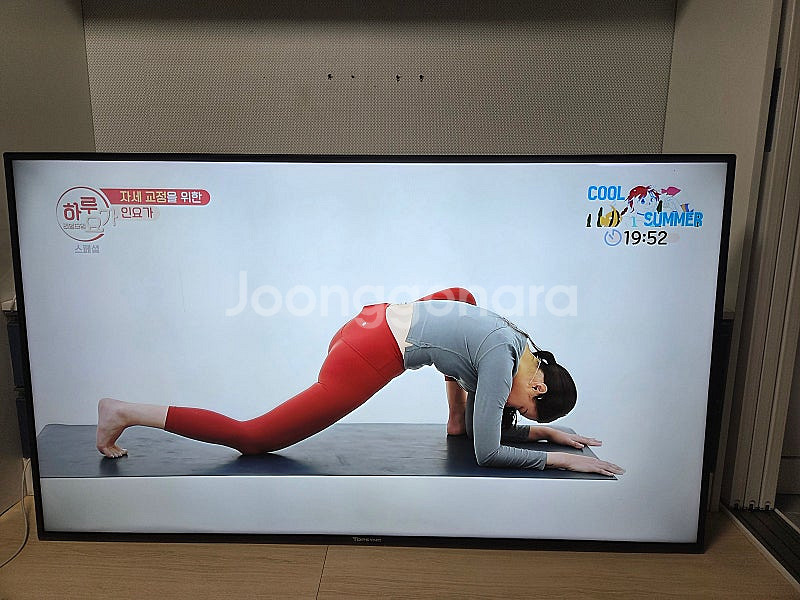 탑씽크 65인치 4K UHD 벽걸이 TV--0