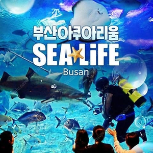 부산아쿠아리움 모바일 입장권 2장 팝니다(~08/31)