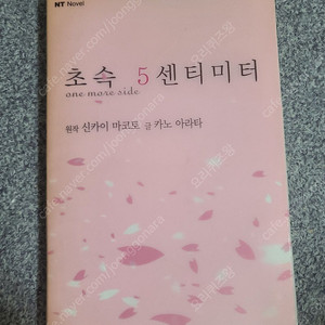 초속 5센티미터 one more side