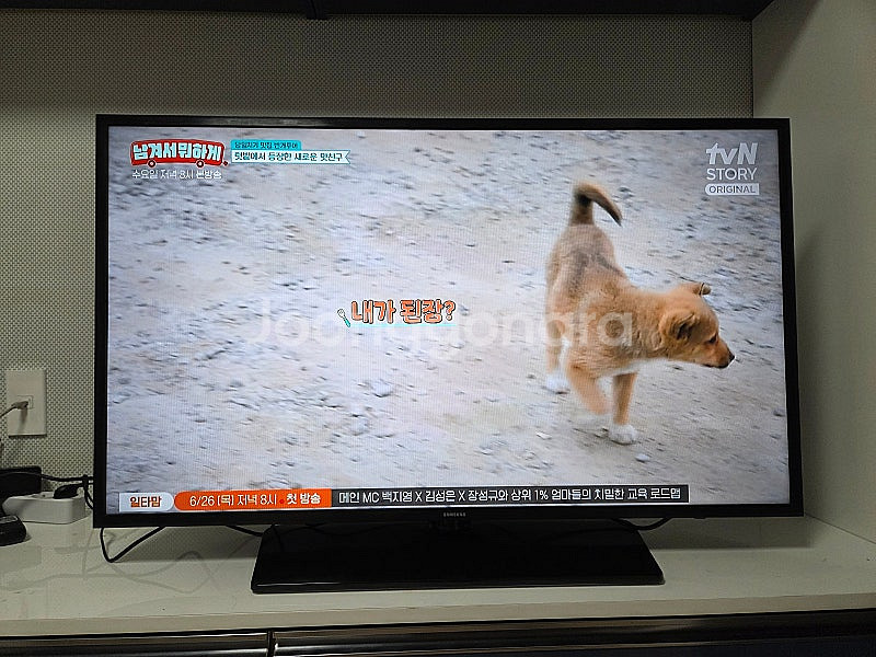 삼성 43인치 FHD TV 2021년식--2