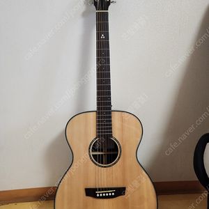 HEX 헥스 STING 스팅 F350G 통기타 어쿠스틱기타 판매합니다