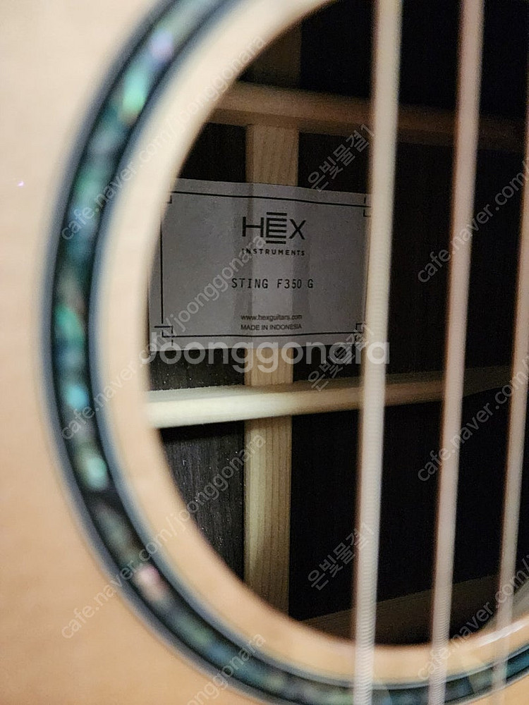 HEX 헥스 STING 스팅 F350G 통기타 어쿠스틱...--3