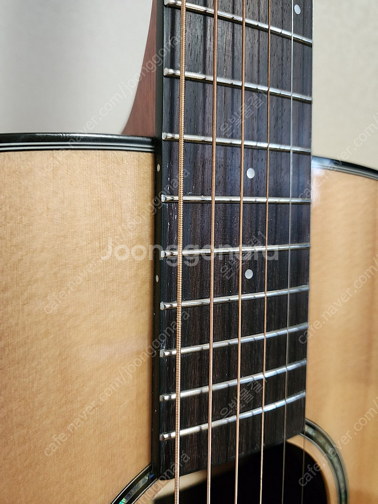 HEX 헥스 STING 스팅 F350G 통기타 어쿠스틱...--4