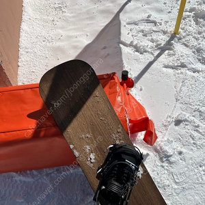 23/24 샌디쉐이프 인피니타C 163/1920 바인딩