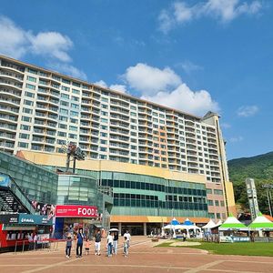 8/14목,23토,30토 강원 횡성 웰리힐리파크
