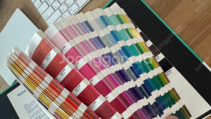 펜톤 솔리드 칩 코팅,비코팅 (Pantone Solid--3