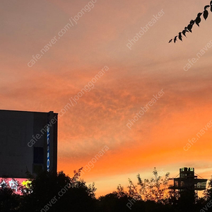 Xf56mm wr신형삽니다