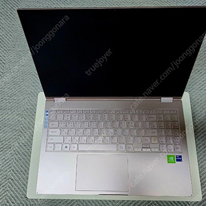 삼성 플렉스 2(11세대 i7, 15.6인치, 16GB, 1TB 최고사양)