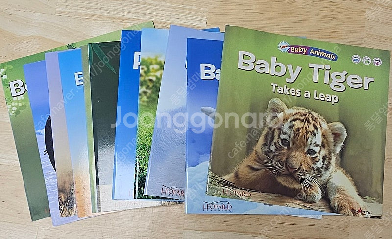 Baby Animals 영어 원서 세트, 리더스 합본책...--1