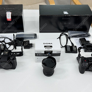 파나소닉 s5m2x 2대 / 시그마 렌즈 10-18 f2.8 팝니다.