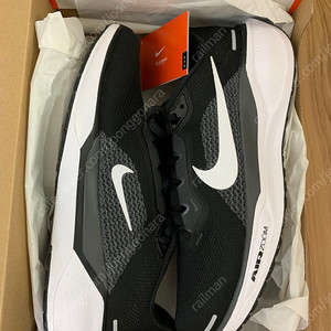 나이키 페가수스41 280