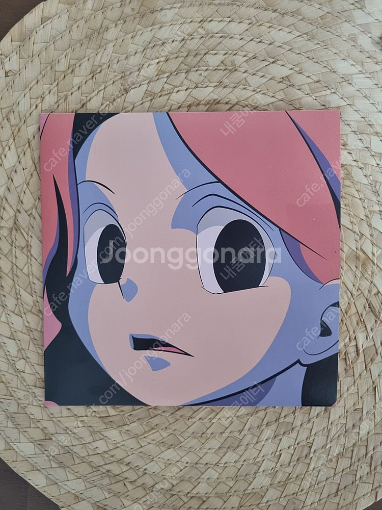 아도이[adoy] young&grace 7인치 LP--0