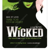뮤지컬 〈위키드〉 내한 공연(WICKED The Musical) 1층 중앙블럭 판매합니다.