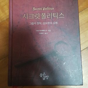 시크릿 폴리틱스 (디터 뤼게베르크) 판매합니다.