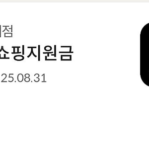 신세계 면세점 포인트3종(kt,하나,롯데)