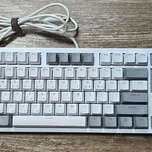 콕스 COX 엔데버 텐키리스 RGB PBT 50G 화이트 무접점 노뿌 게이밍 키보드