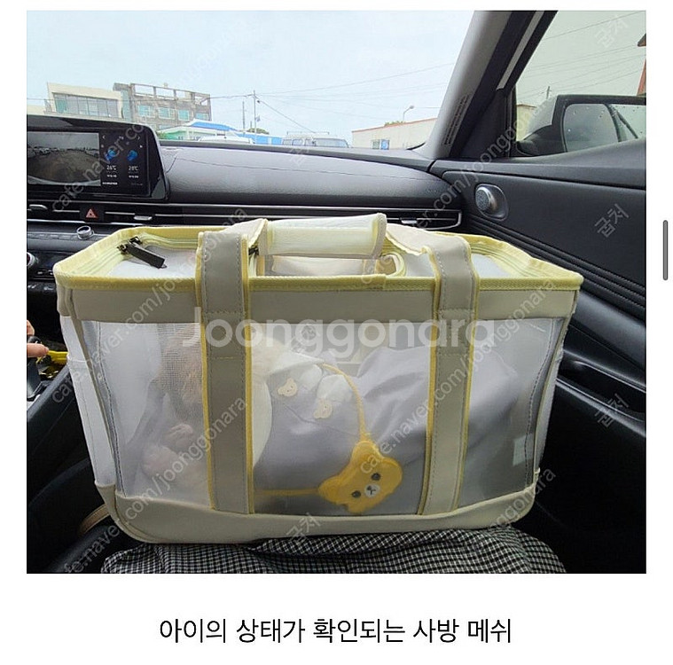 강아지 메쉬 이동가방--4