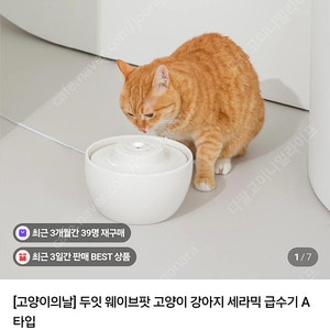 두잇 웨이브팟 고양이 세라믹 급수기 A타입 + 방수매트