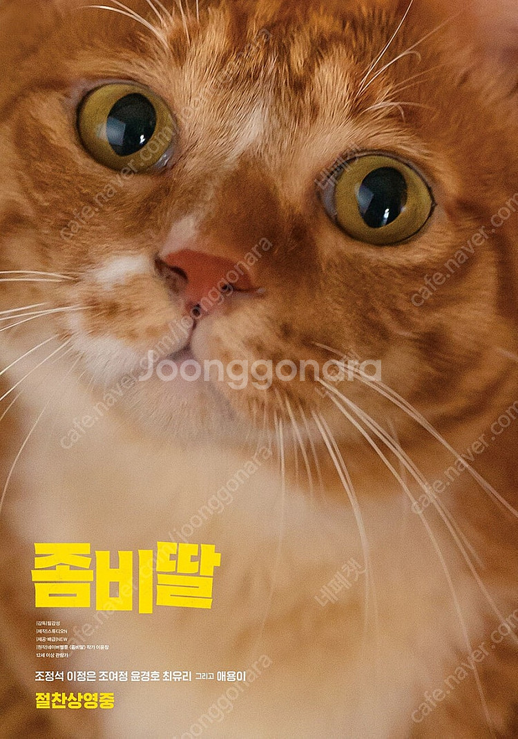 좀비딸 머티리얼리스트 주니토니 추적 강령 귀신놀이 수연...--0