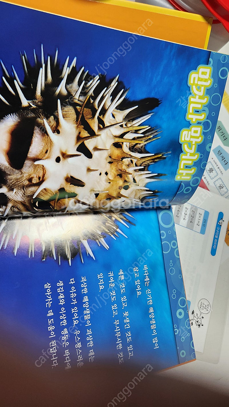내셔널지오그래픽키즈 자연관찰 30권--2
