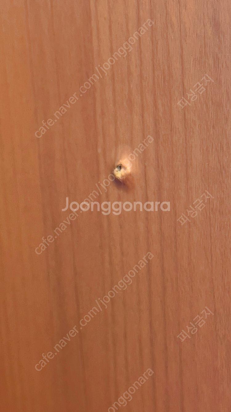 [무료나눔] 보루네오 6단 책장 (직접 방문 후, 운반...--6