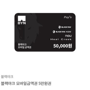 블랙야크 모바일 금액권 5만원권 43,000원에 팝니다.(4장 보유중) 추천