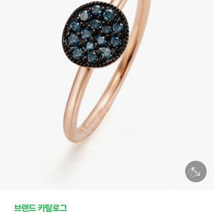디디에두보 몽파리 반지