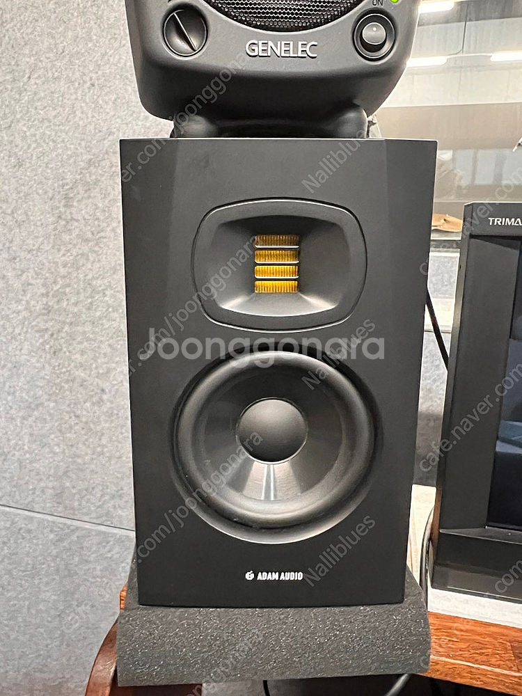 ADAM T5V 1조 아담 모니터 스피커 패키지--0
