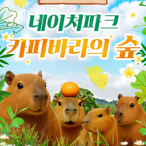 네이처파크 1+1 2인 종일권 판매<바로입장티켓>