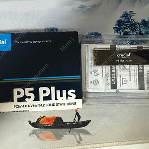 마이크론 Micron P5 Plus M.2 NVMe SSD 2TB