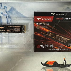 팀그룹 TEAMGROUP T-Force CARDEA A440 Pro M.2 NVMe SSD 2TB