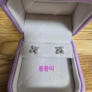 골든듀 펄시피아쁘띠D 귀걸이(화골)
