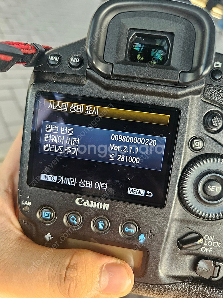 [개별가능] 캐논 5Ds, 1DX, 신탐륵 24-70 ...--8