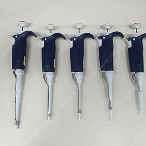 gilson micro pipette 길슨 피펫