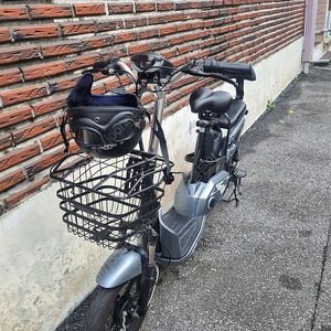 AU테크 에코로 SC350 전기스쿠터 2인용 입니다